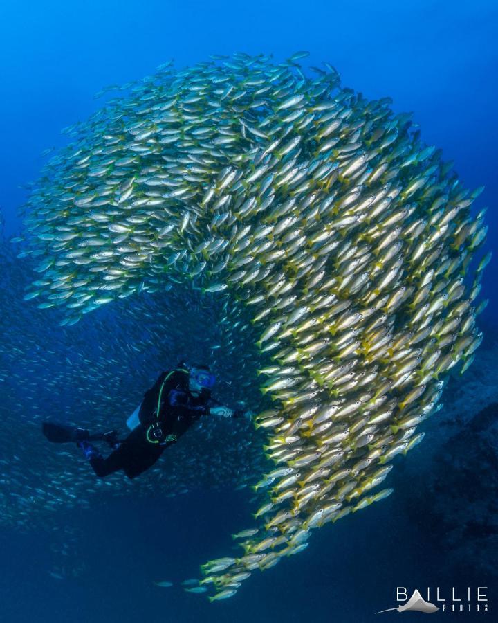 Hydronauts Diving Resort - كو تاو المظهر الخارجي الصورة