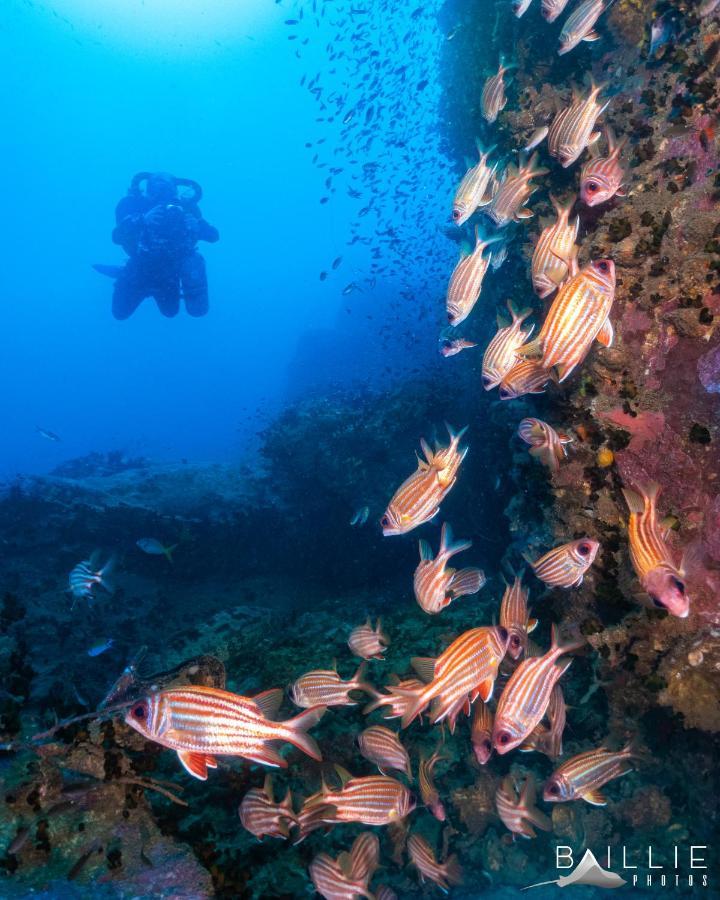 Hydronauts Diving Resort - كو تاو المظهر الخارجي الصورة