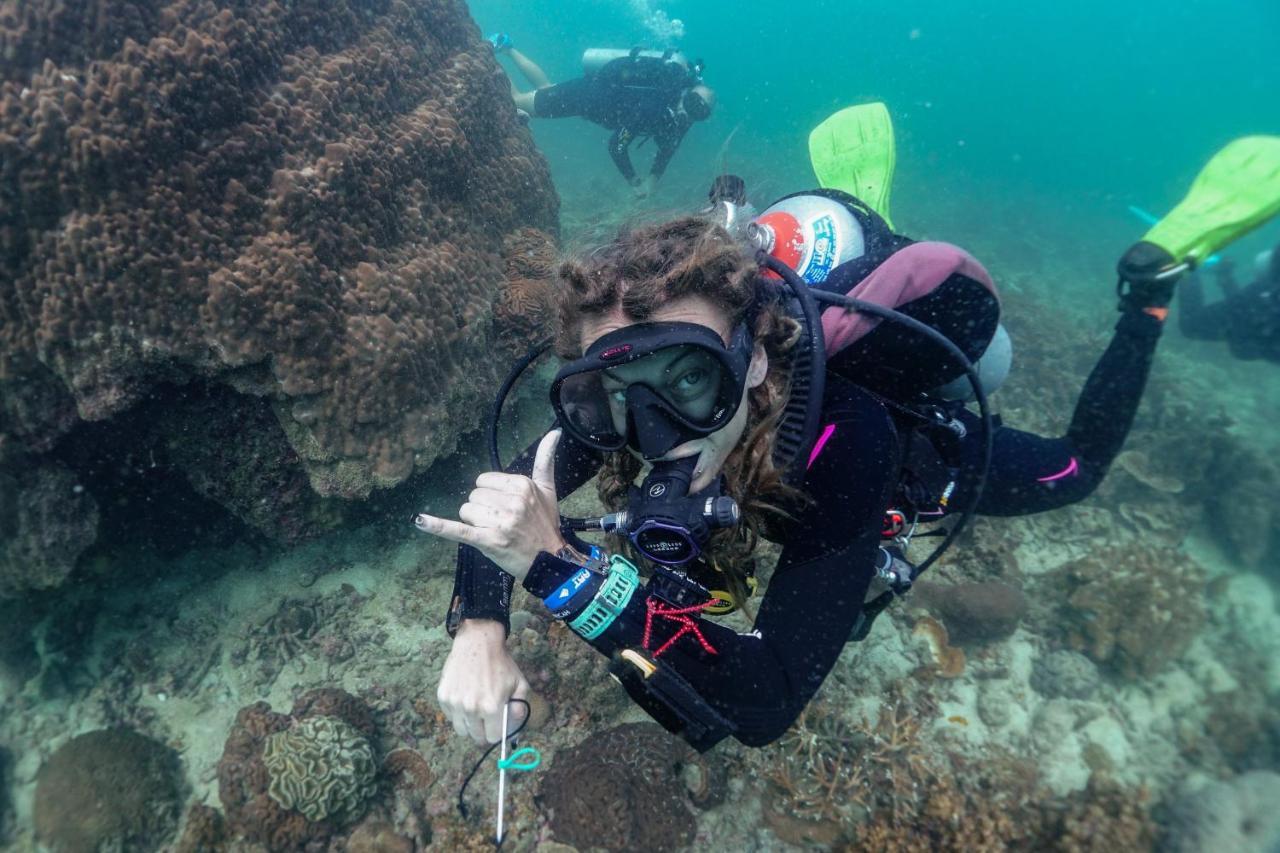Hydronauts Diving Resort - كو تاو المظهر الخارجي الصورة
