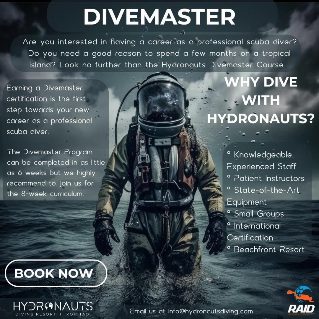 Hydronauts Diving Resort - كو تاو المظهر الخارجي الصورة